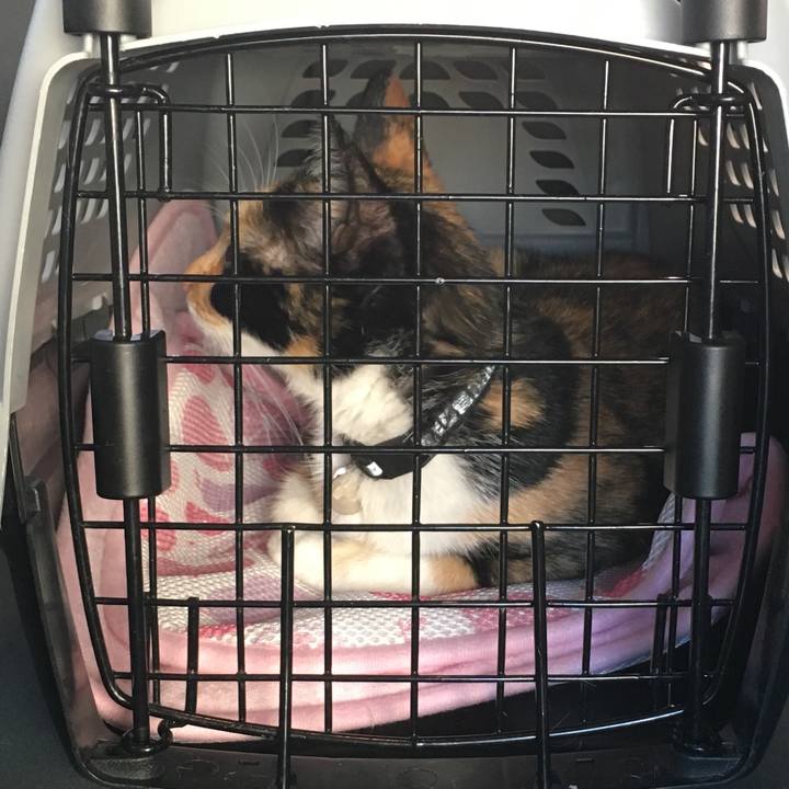 Bdc1142e c6a6 4ee5 b107 d9b9d7cfb063