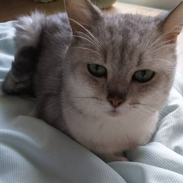 Bdc192b5 0d68 46d4 99c1 2e8a2c05cd5d