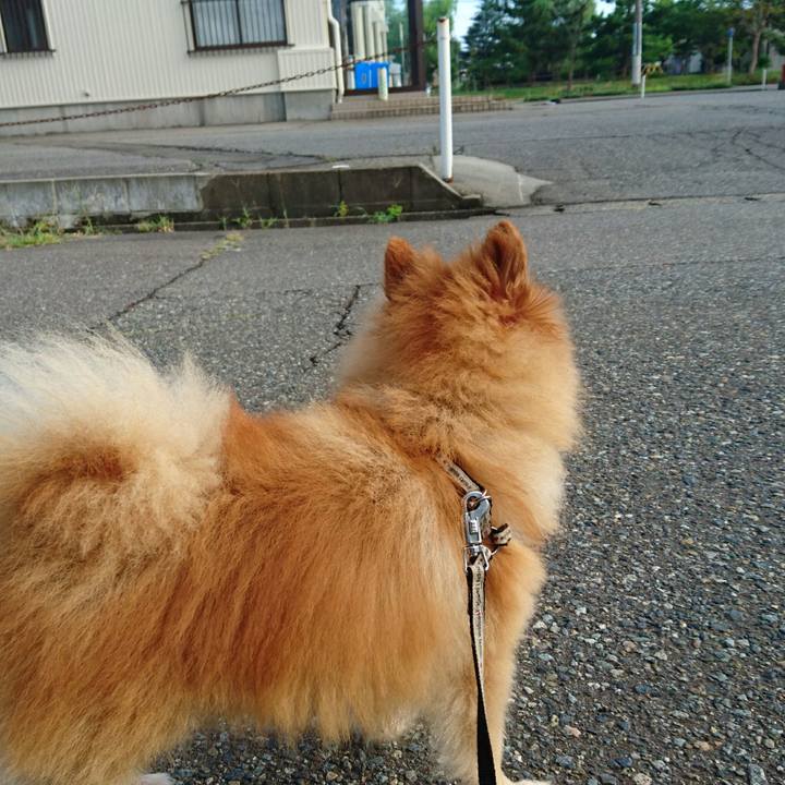 Bdc386c1 06f8 4bf1 8674 b7308947e3af