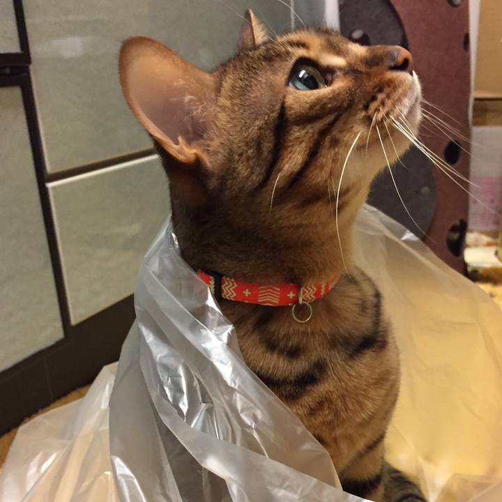 Bdc3b226 d1f5 4337 a59b 0113ad8e0f71