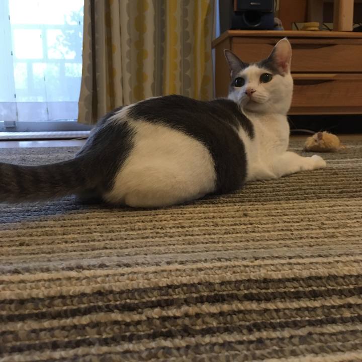 Bdc43570 064b 45ea a1b3 140d98ff26de