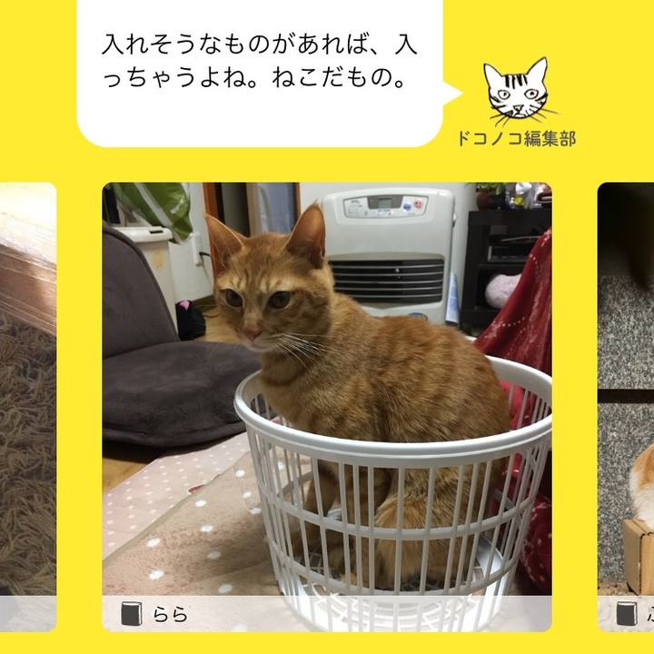 Bdc44a67 1a73 44ce b9cf be32fbbc3186