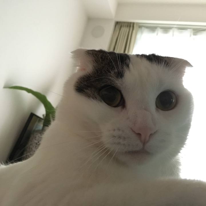 Bdc4cd9e d414 48f6 8fad 8cc4562b4e4e