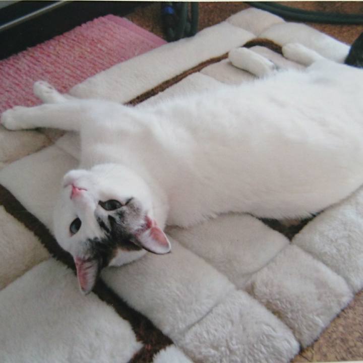 Bdc5072a eb9a 4468 a2b3 e26999acdf16