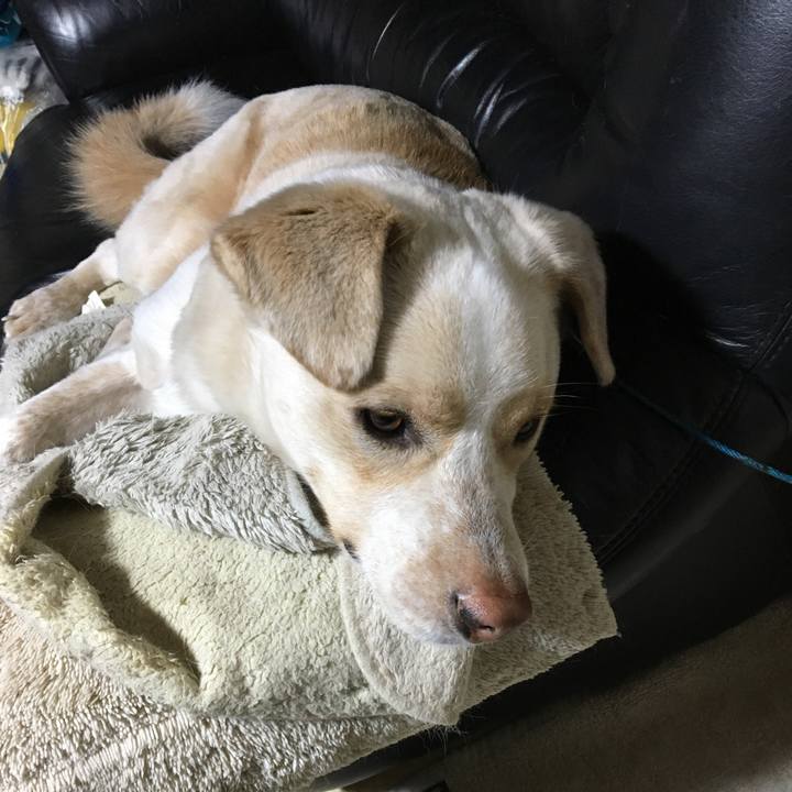 Bdc5bb4b c5df 41fb bdaa de92a5576f78