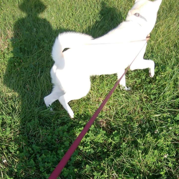 Bdc5fb77 a1c9 4129 9f15 37c53e0fd153