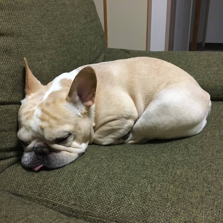 Bdc6992d 79e9 44c6 b572 a355780ca470