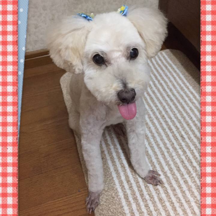 Bdc6ccaa fbb0 43d2 98d7 3e2865962c08