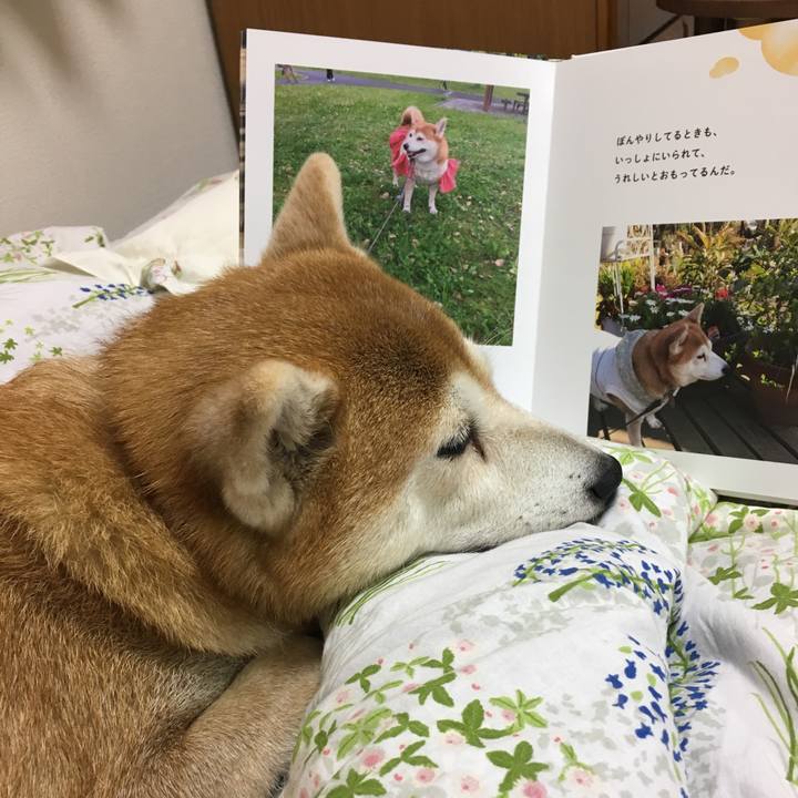 Bdc709b0 6f14 4c94 b632 f8735f50759b