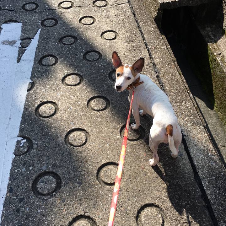 Bdc762e4 d9c3 4a6b a881 e1167f45c00c