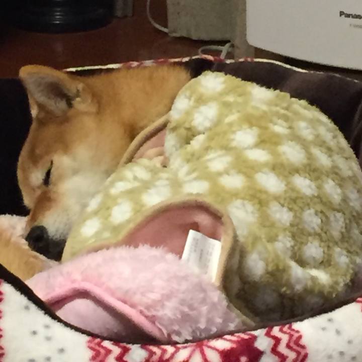 Bdc80764 372c 4f77 92a3 915024351b0a