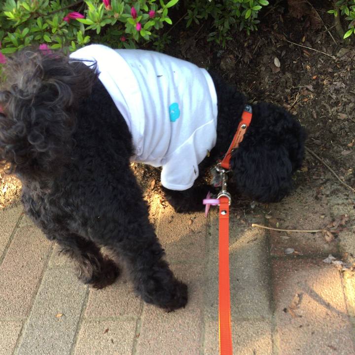 Bdc96dba 49e4 41f9 9b4f c1cddf014509