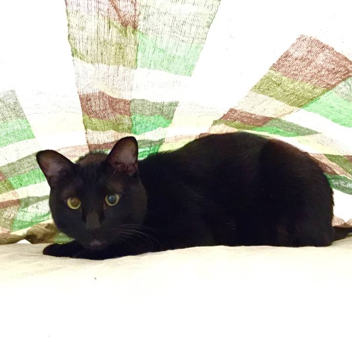 Bdca135d 9cbf 495e 976d 90f0f86a3570