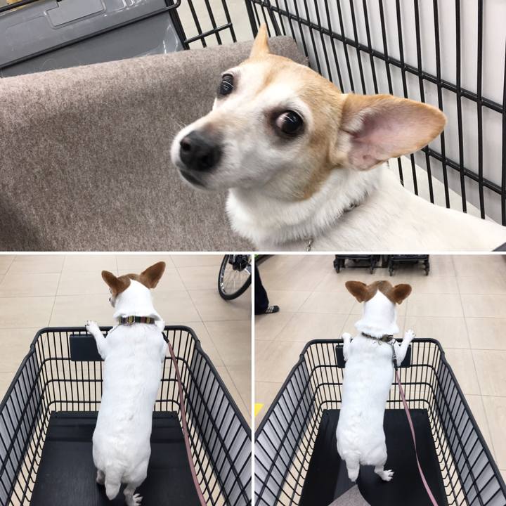 Bdca1516 dc17 452d 99fa ed267927a830