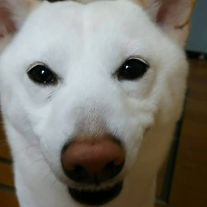 Bdca3199 0537 4d11 b165 e476faf773d7