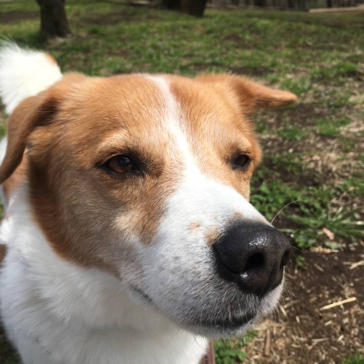 Bdca6255 048f 4ae6 b1ef 5a50a4a19707