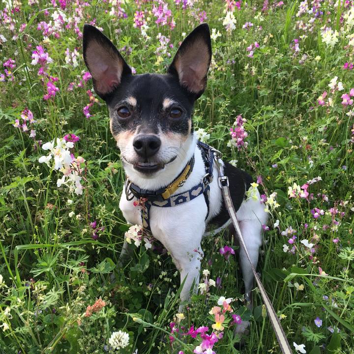 Bdcae700 4481 45c8 b39e d9f5eb10cf27