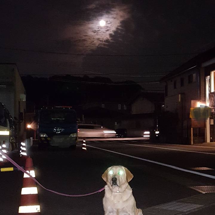 Bdcb7fa8 cf32 4cca a332 c4d06e01ab9f