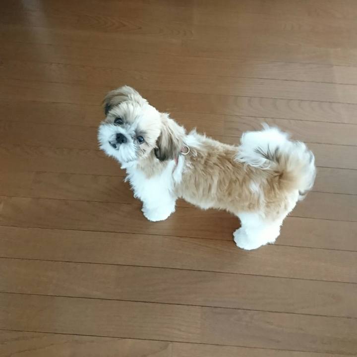 Bdcbbafa a5f2 4eef 82cb 94c602f01a60