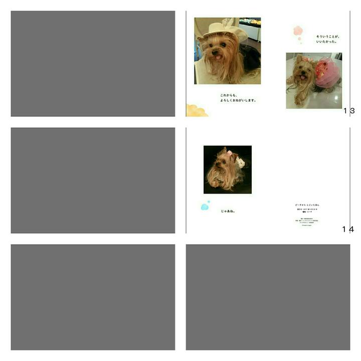 Bdcbcd4d 89bb 42f5 b385 ed34db5b1b21