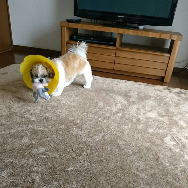 Bdcbee8e f660 4367 90da 12ce53b83731