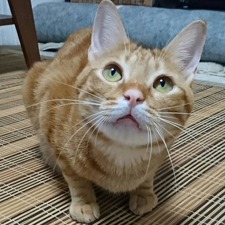 Bdcc41c6 e221 4bf8 9a98 82702b4e0a88