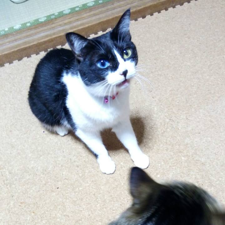 Bdcc73fe de9c 434a 8b8b d1fff28b834e