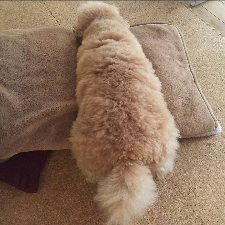 Bdcc74a0 5d5b 4093 951c bebe05debaa9