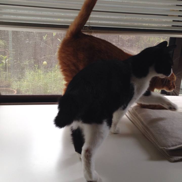 Bdcc8d39 f7bf 4be1 b514 fd6d5d36b7bc