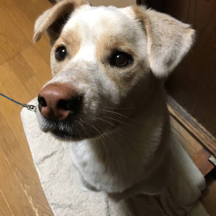 Bdcd12a7 eb7e 4590 8bc5 c0a56b1b68f0