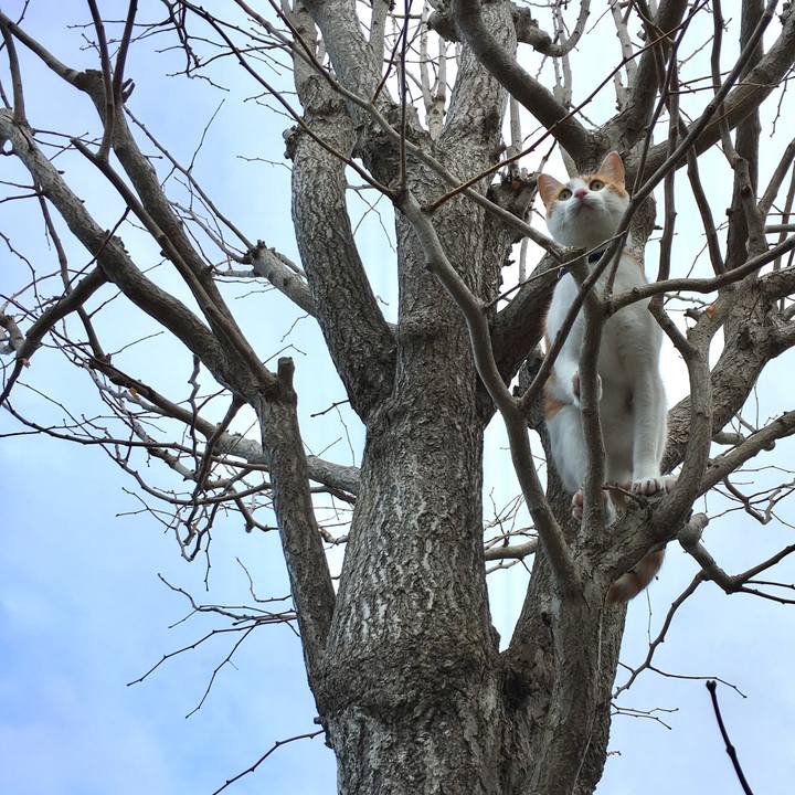 Bdcd7b5e dd5f 4f39 8295 911cd04b0362