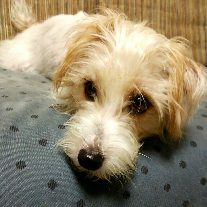 Bdcd83dc da4f 4fce 8286 5d6fb04e198f