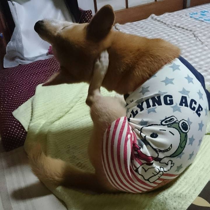 Bdcd91eb 1b3f 499c b0a7 5b2f3b0a048e