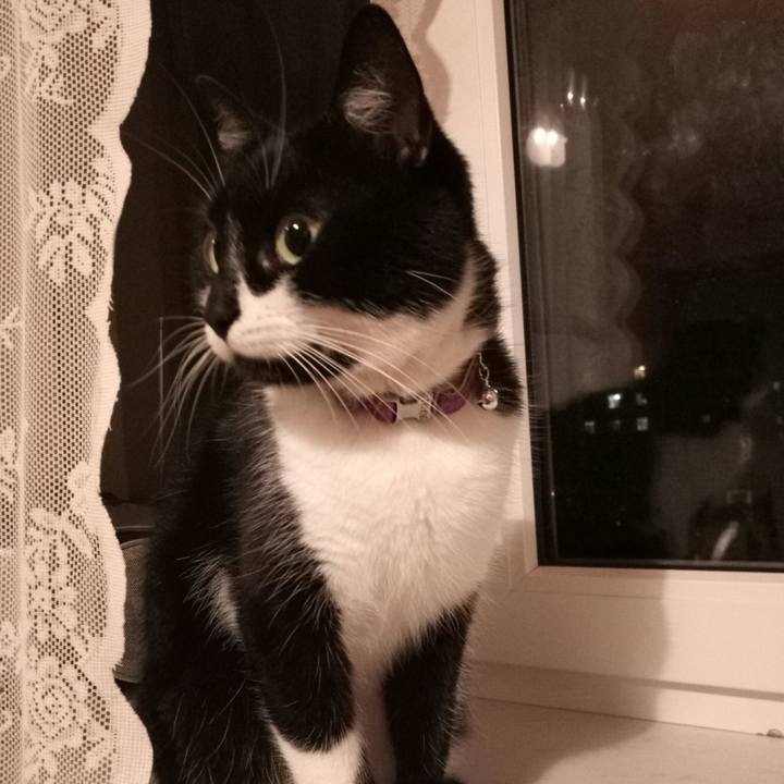 Bdce143f 9ec3 40ca 9bf7 d724fdf34c39