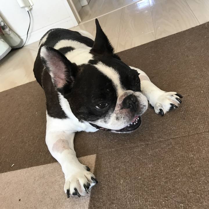 Bdcea56f 9c67 4044 baf0 ef278adfe465