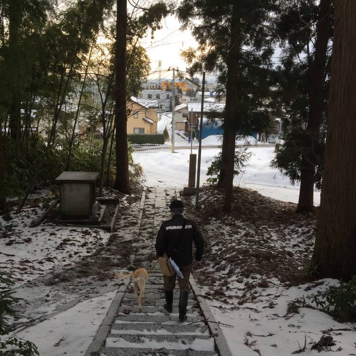 Bdcec5d7 ecf0 4816 aa0c 5dfadb47053c