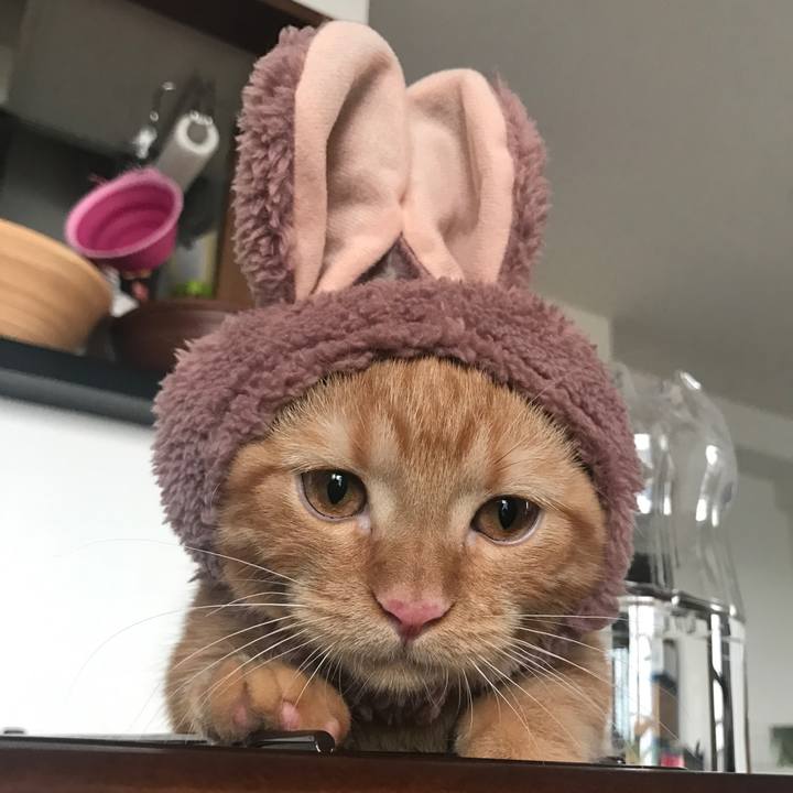 Bdcf1302 dca6 4c98 bbab 140d0701a00e