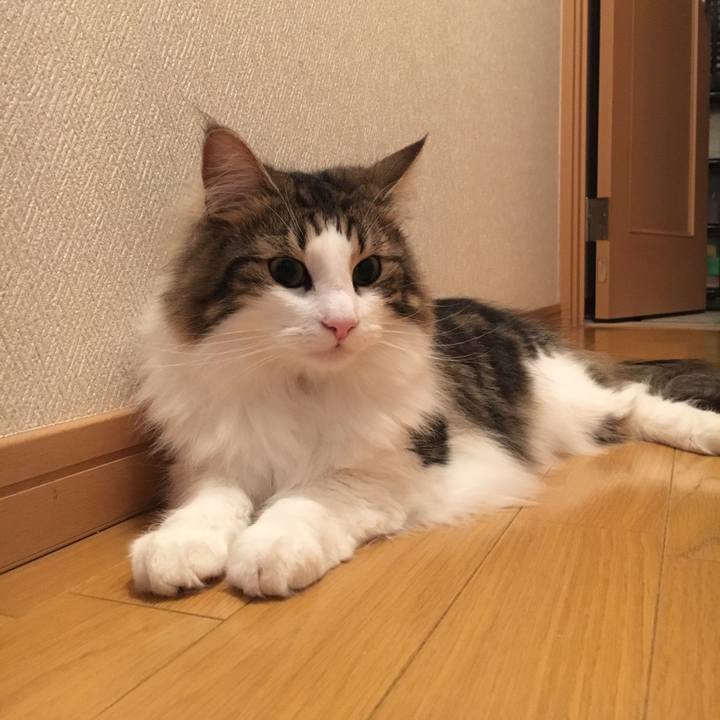 Bdcf7f2d 958b 451b b630 7705bc11e6dd