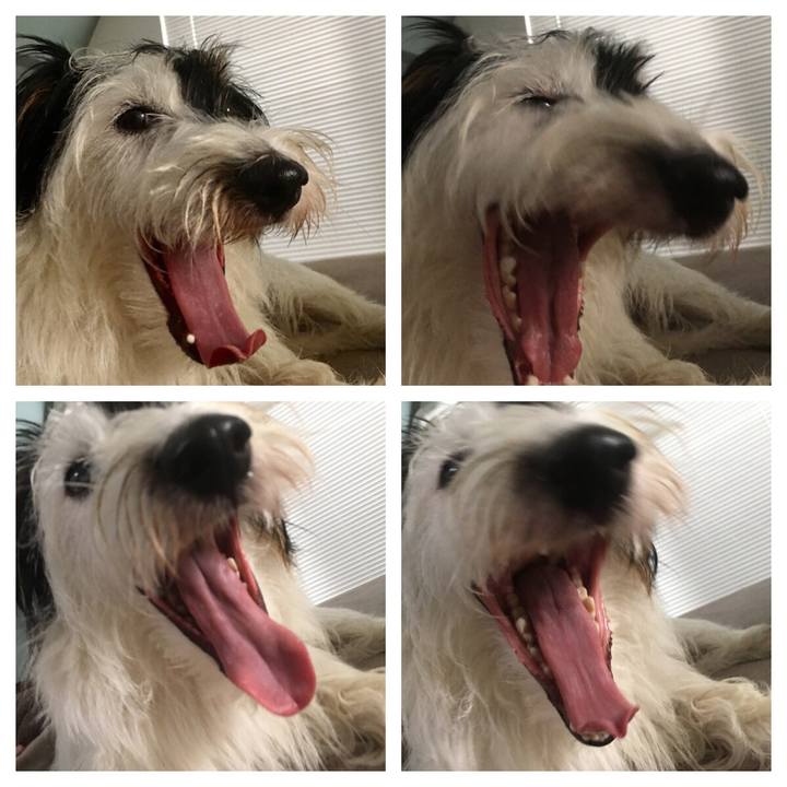 Bdd06ce4 de90 400b baac d38ab61f1e9e