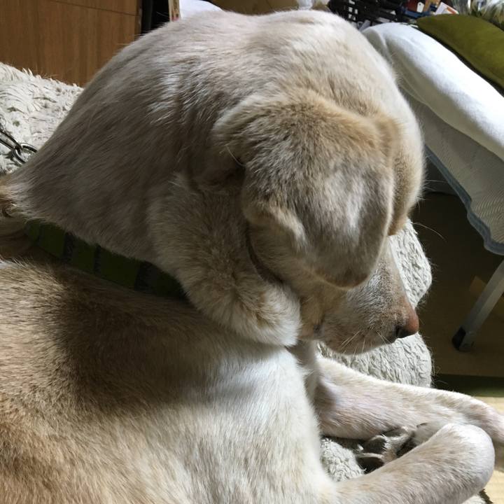 Bdd0832d a99a 4549 9472 1c409c733863