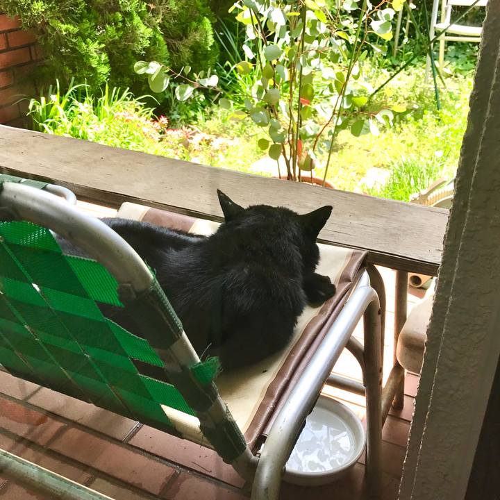 Bdd0a44b a704 4aab bc63 fcb20f0e3bde