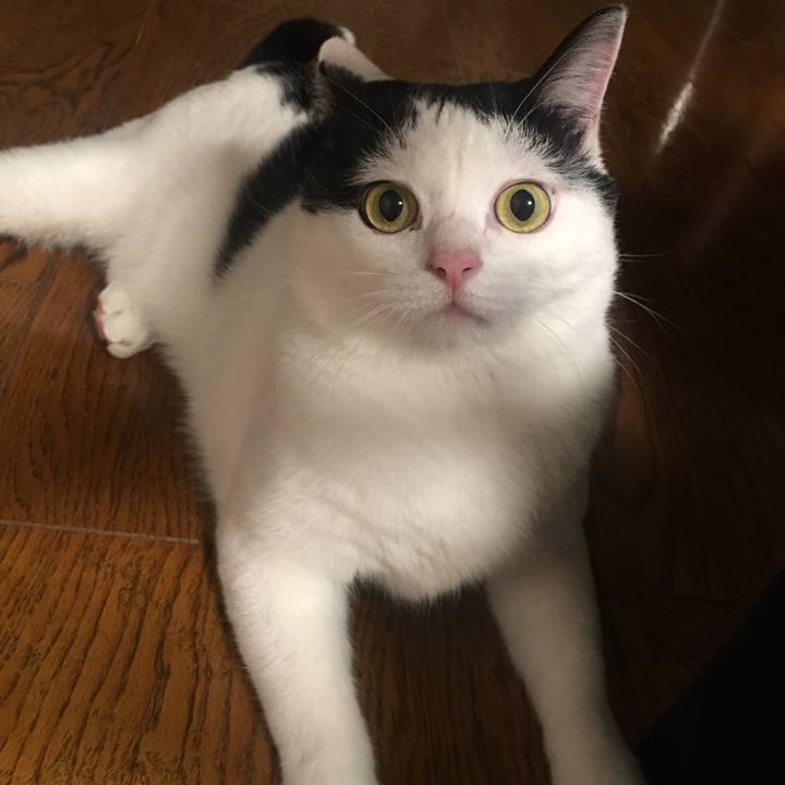 Bdd12706 6a58 49b7 a461 2f165ca53a38