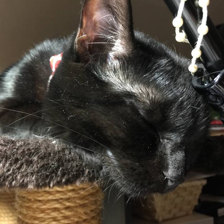 Bdd1a335 2884 47b5 8d5f 3c27b3ab2808