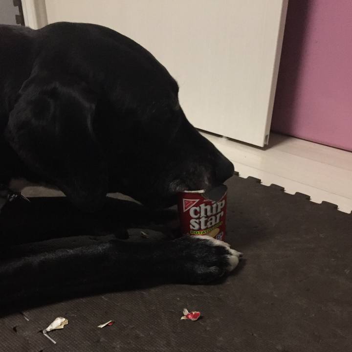 Bdd1b412 f244 4a22 883f 519607dcb828