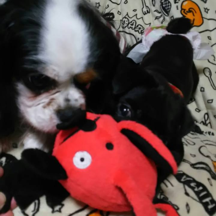 Bdd1f9ec 13a4 48c5 90d6 4240e911f9df