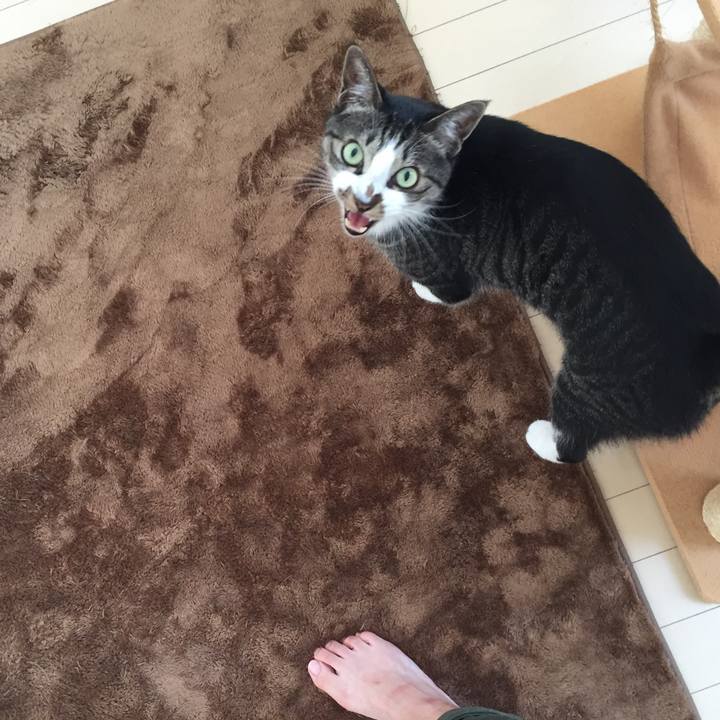 Bdd247b2 758b 468d a3c5 08556a5eacb6