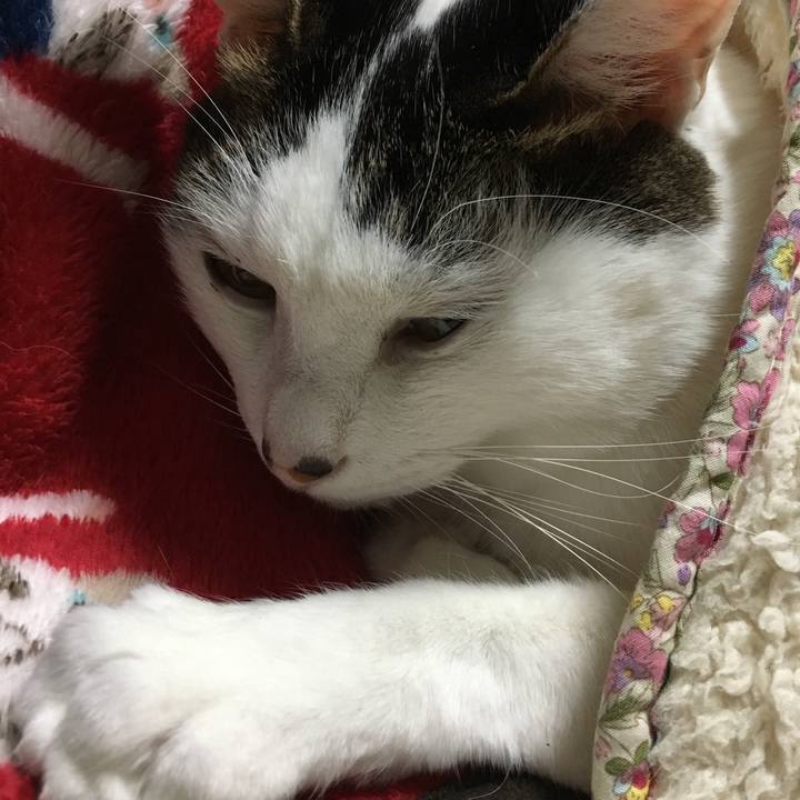 Bdd29c04 6ae8 478a a55d a952819a2225