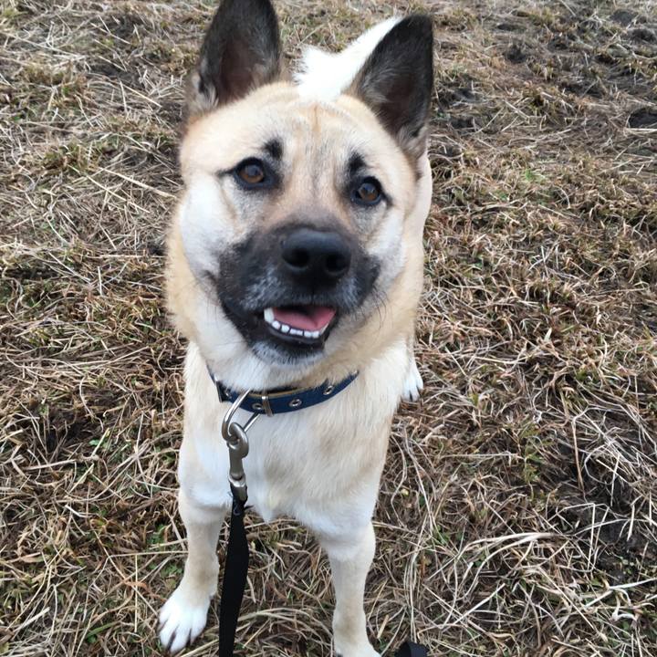 Bdd2b202 4f0e 4464 b68e 9b5a316154cd