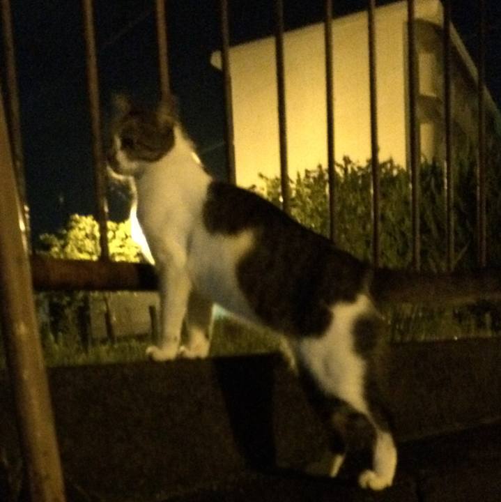 Bdd2f8b7 711f 42aa a067 4bd44eecf8d9