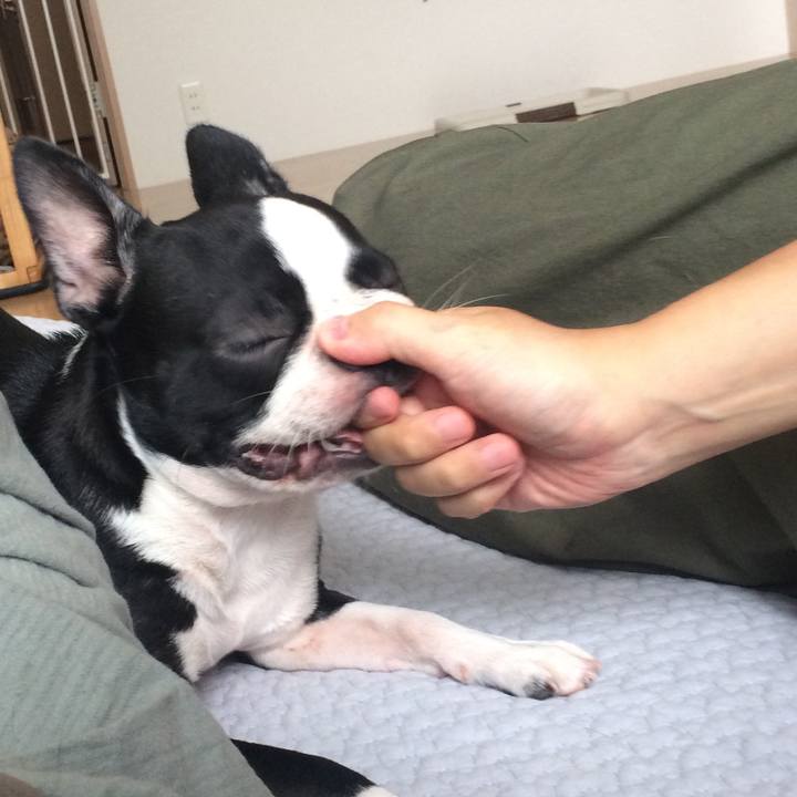 Bdd310b5 ae92 41f3 b50f 698b20c1ff86